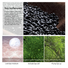 Load image into Gallery viewer, LANBENA Lsoflavone Lip Care Serum Lip Plumper